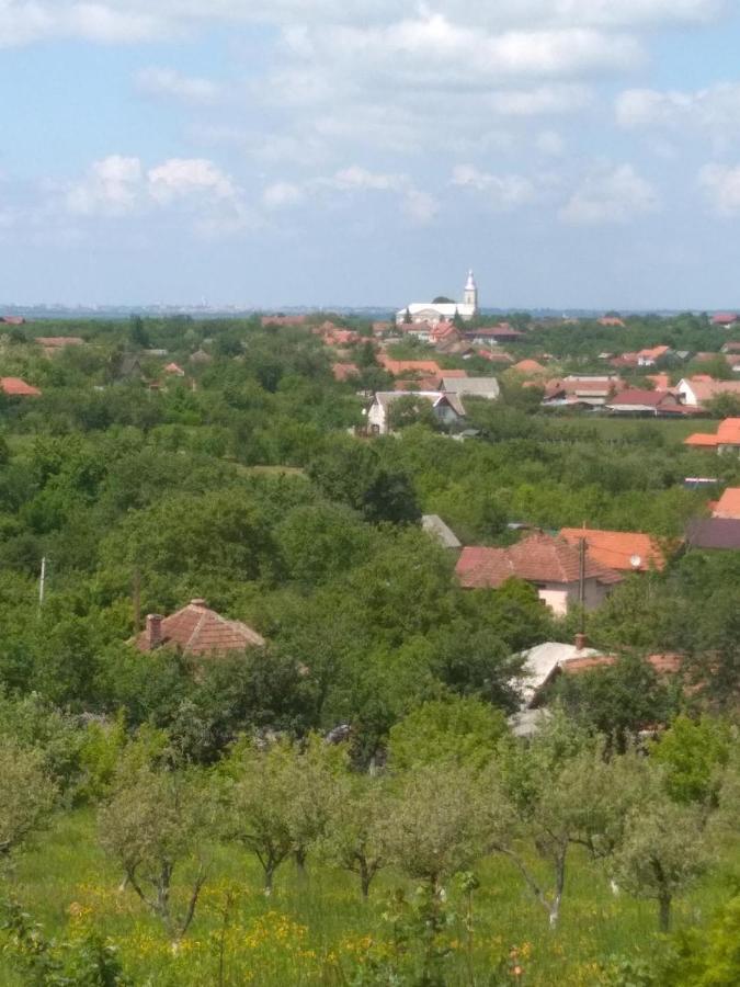 Vis Pension Viile Satu Mare Exteriér fotografie